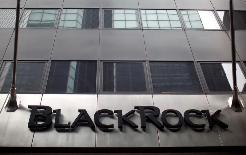 BlackRock заказал акции SpaceX на $5 млрд перед IPO
