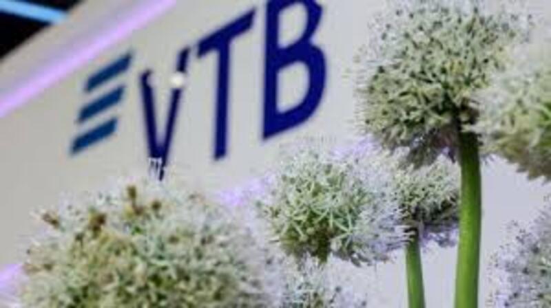 ВТБ создал комитет по стратегическому партнерству с Wildberries